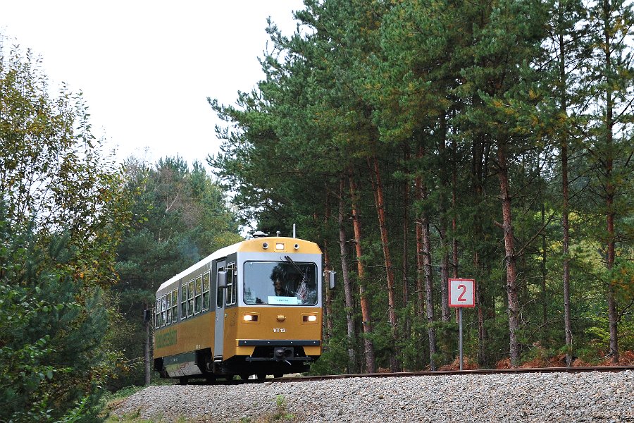 VT13 nach Litschau (2)